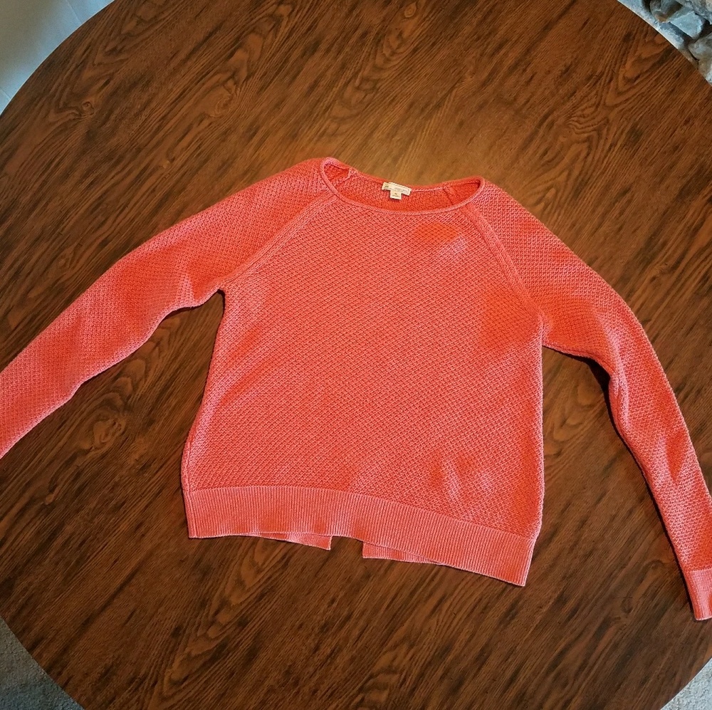 Gap Sweater